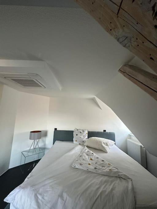 Panorama Penthouse In Wunderschoener Villa Kassel Exterior foto